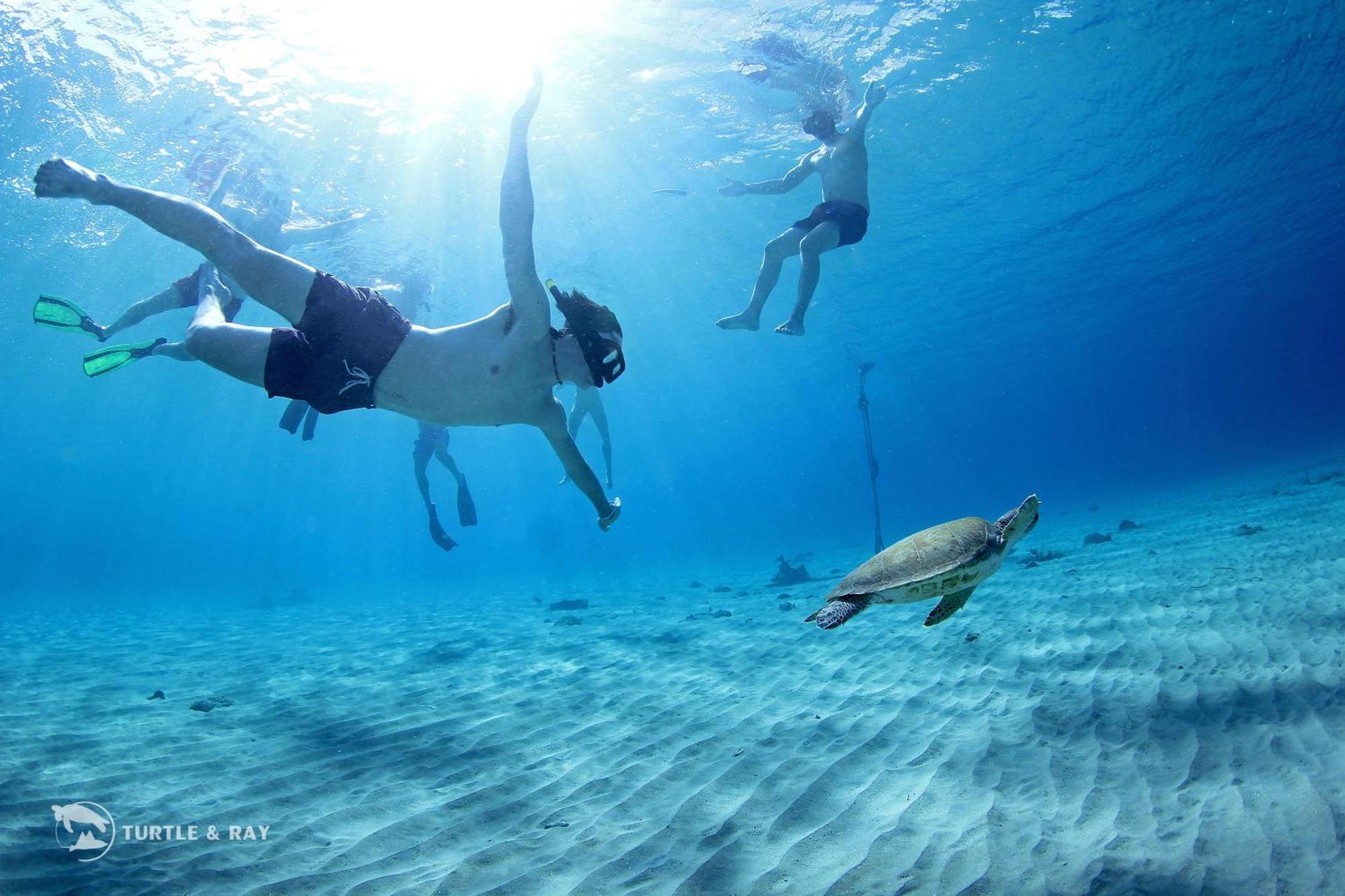 Lagun Blou Resort Curacao Exteriér fotografie